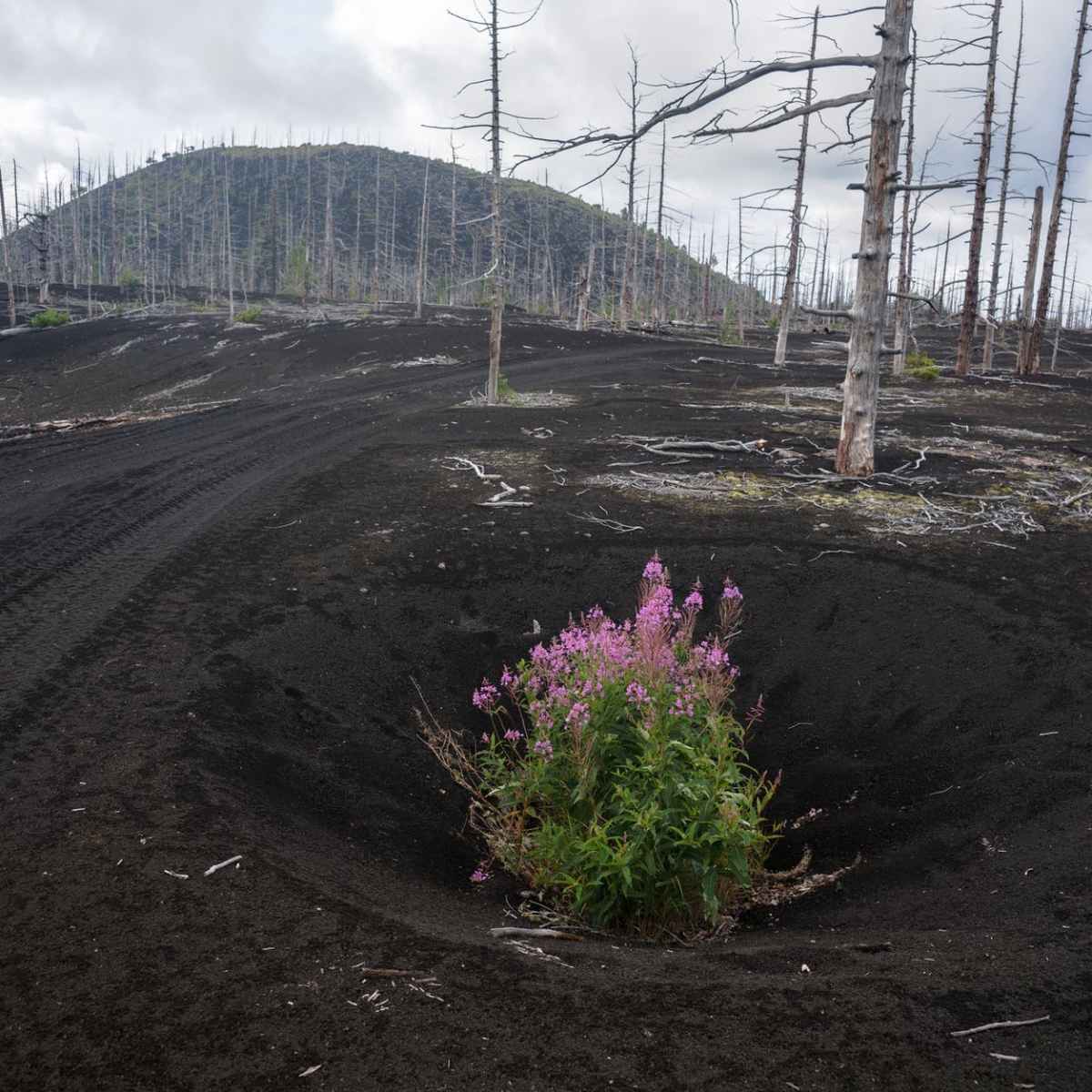 Les énergies fossiles dominent toujours, mais l’élan est du côté des renouvelables selon une nouvelle étude –&nbsp;AFP