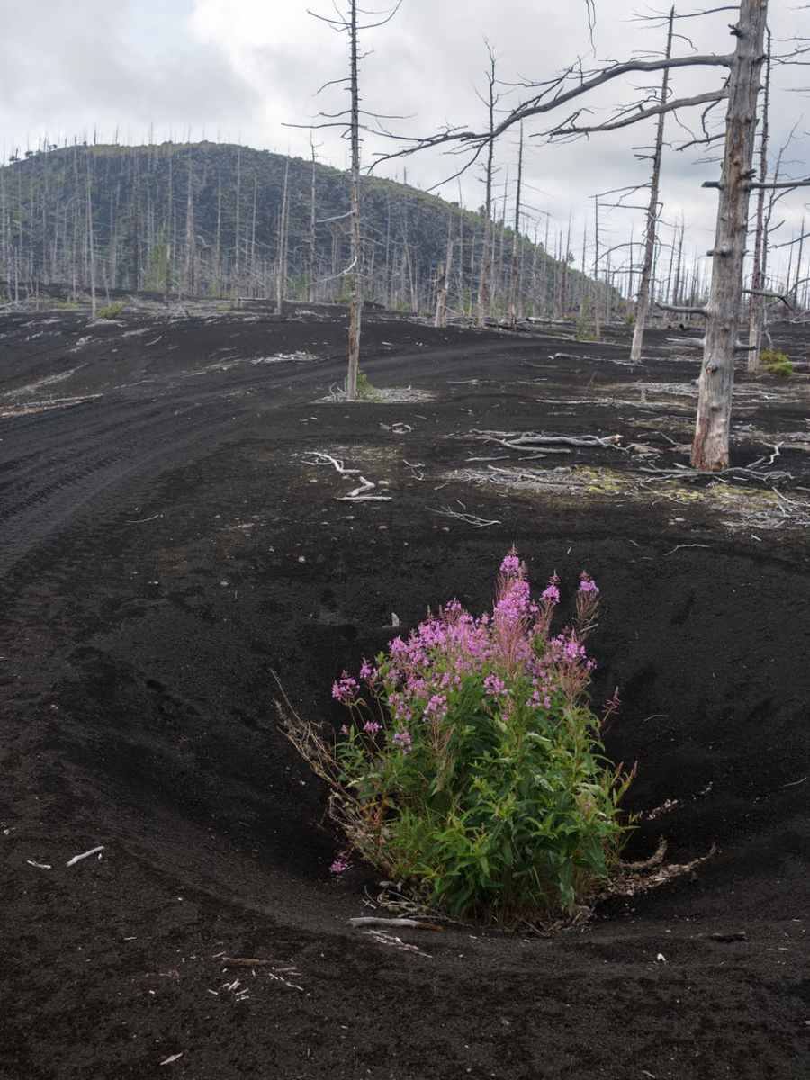 Les énergies fossiles dominent toujours, mais l’élan est du côté des renouvelables selon une nouvelle étude –&nbsp;AFP