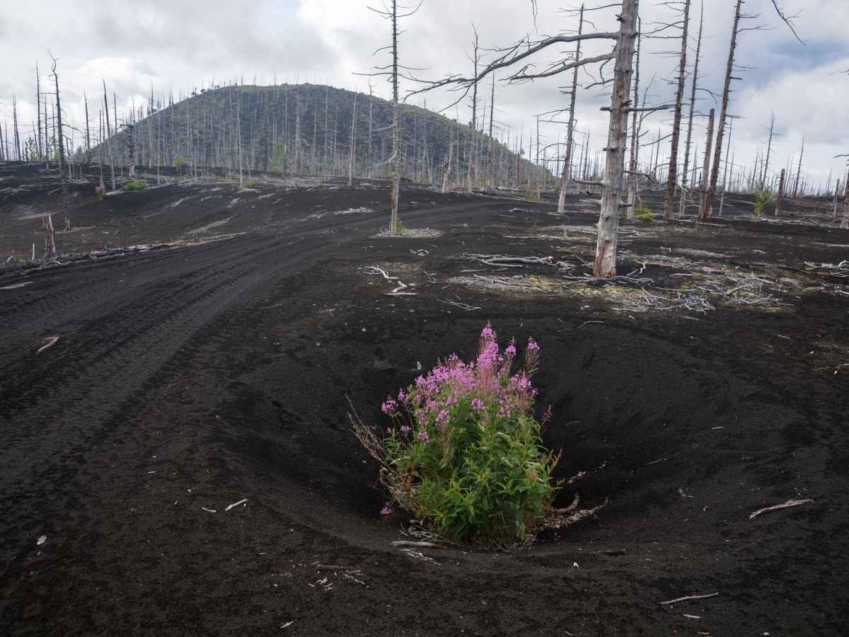 Les énergies fossiles dominent toujours, mais l’élan est du côté des renouvelables selon une nouvelle étude –&nbsp;AFP